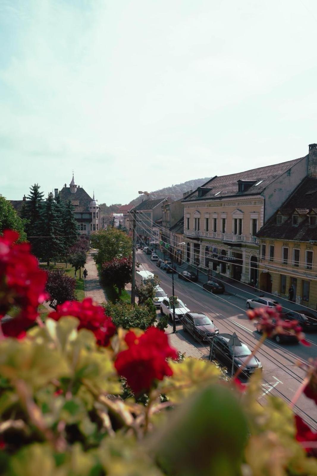 Pensiunea Gasthaus Alte Post Sighisoara Bagian luar foto